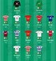 Fantasy football