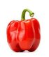 Red Peppers