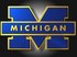 Michigan Wolverines softball
