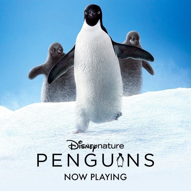Penguins (Disneynature)