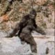 Bigfoot