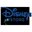 Disney Store