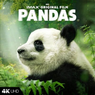 Pandas