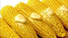 Corn on the Cob