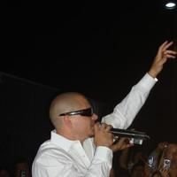 Pitbull