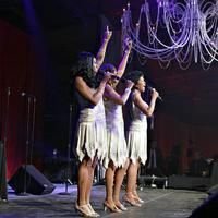 The Pointer Sisters