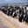 Dairy Farming