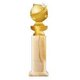 Golden Globe Awards