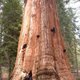 Sequoia National Park