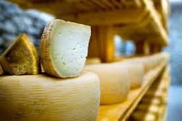 Cheesemaking